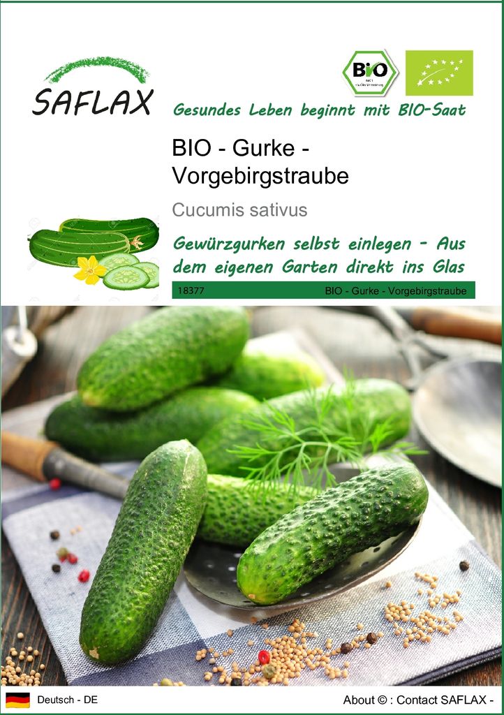 SAFLAX - BIO - Gurke - Vorgebirgstraube - Cucumis sativus - Produktbild 