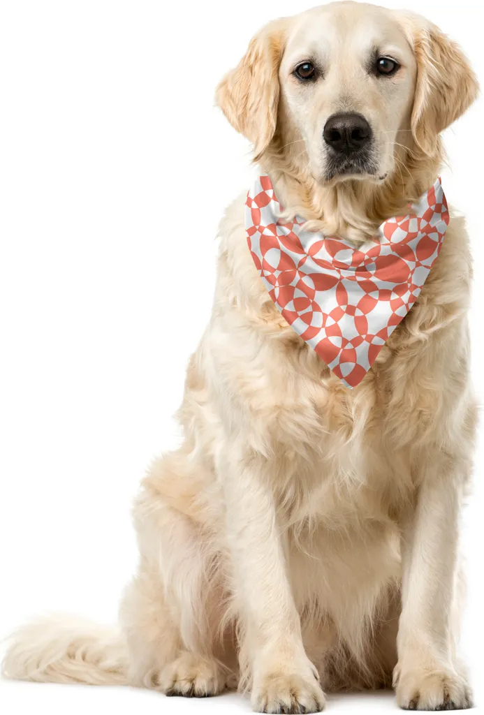 Idea Regalo Bandana Cani ABAKUHAUS 55x55 cm Cerchi Pastello