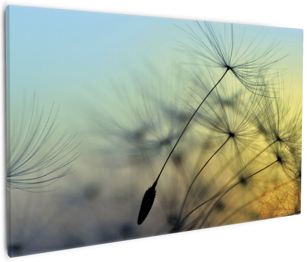 Wallario Premium Leinwandbild Samen der Pusteblume in Nahaufnahme vor blauem Himmel in Größe 60 x 90 cm