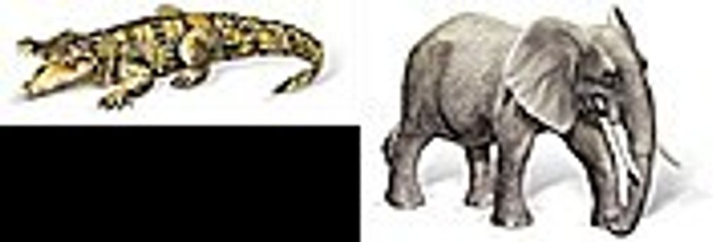 tiptoi Krokodil und afrikanischer Elefantenbulle