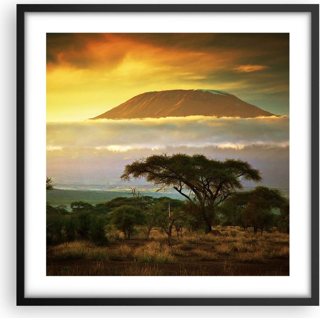 Gerahmtes Poster - Schwarzer Rahmen - Safari Tierwelt Berg Kenia - 50x50 cm - Wand Bild - Wanddeko - Wandbilder - Wandposter - Bilderrahmen - Bilde...