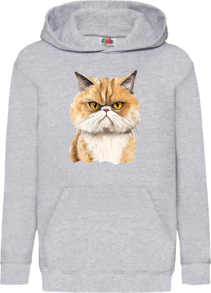 Kinder Kapuzenpullover Funny Cats Breeds Exotic Shorthair Cat, 12-13 Jahr - 152 / Grau
