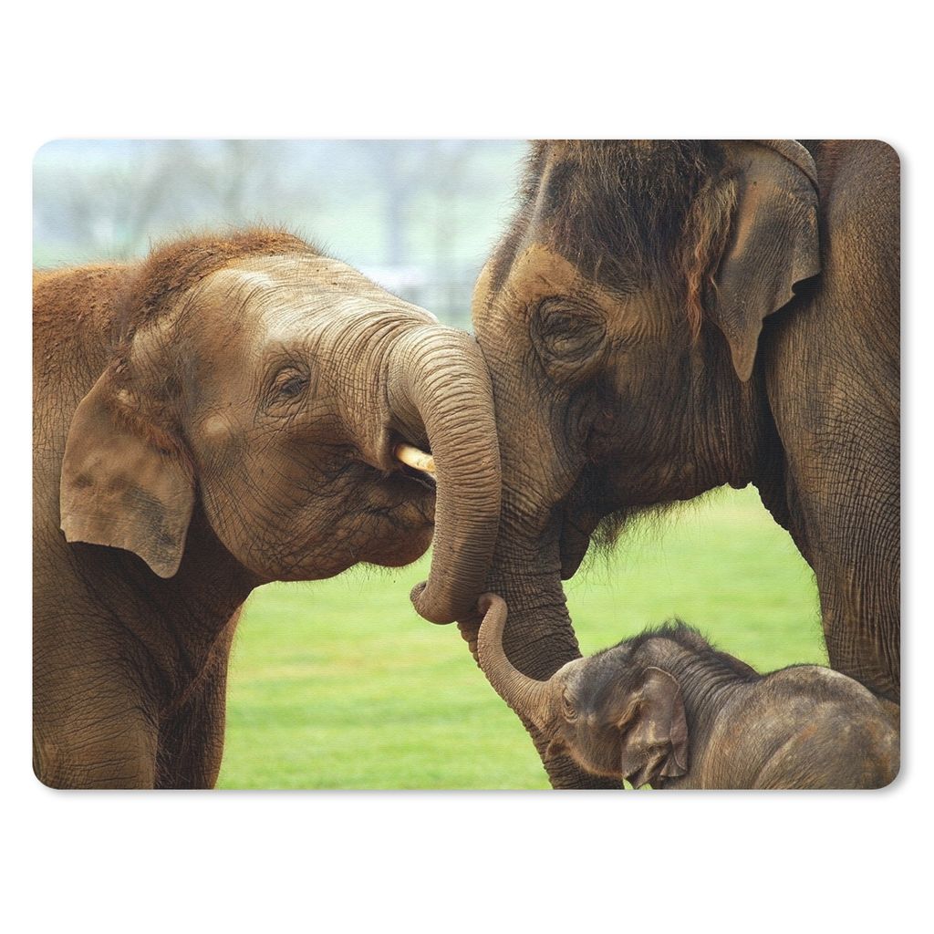 MuchoWow Mauspad Mousepad Elefanten - Tiere - Rüssel 40x30 cm - Mousepads - Maus Mat - Pad - Mausunterlage - Anti Rutsch