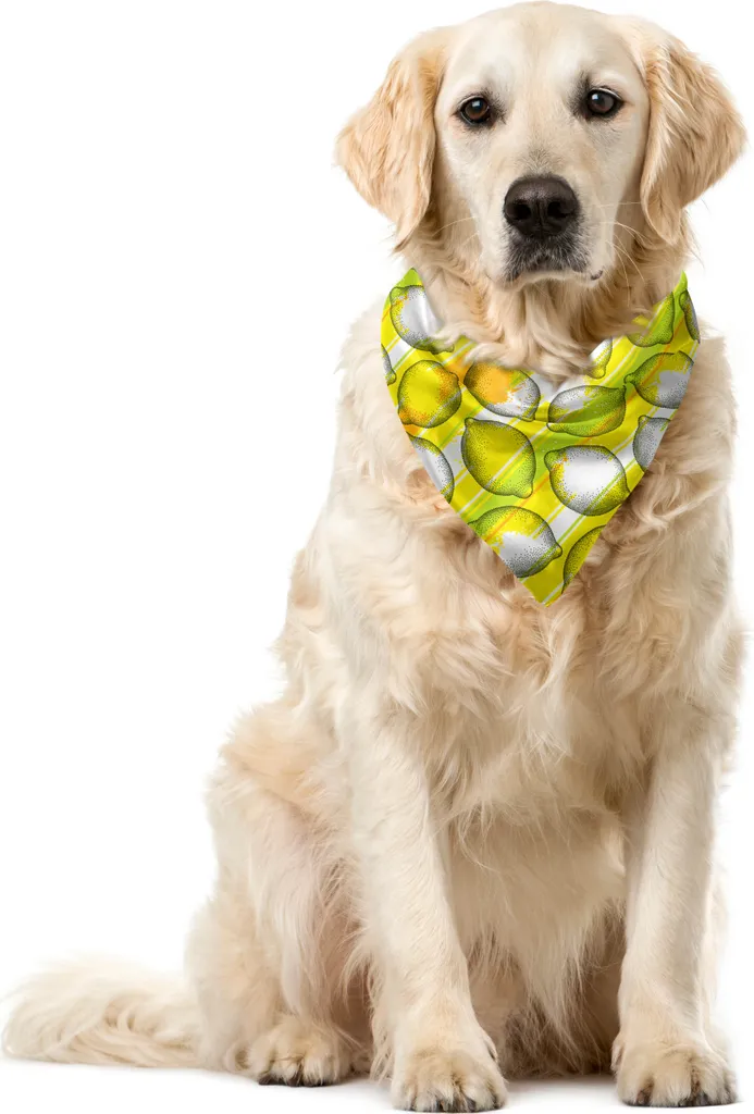 ABAKUHAUS Bandana Cani Limoni 40x40cm - Accessorio Estivo Agrumato