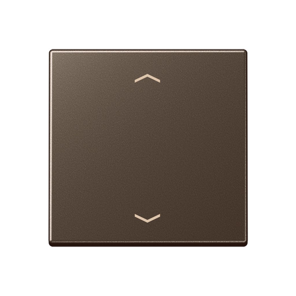 Jung A1700PMO Steuertaste Standard -Pfeile