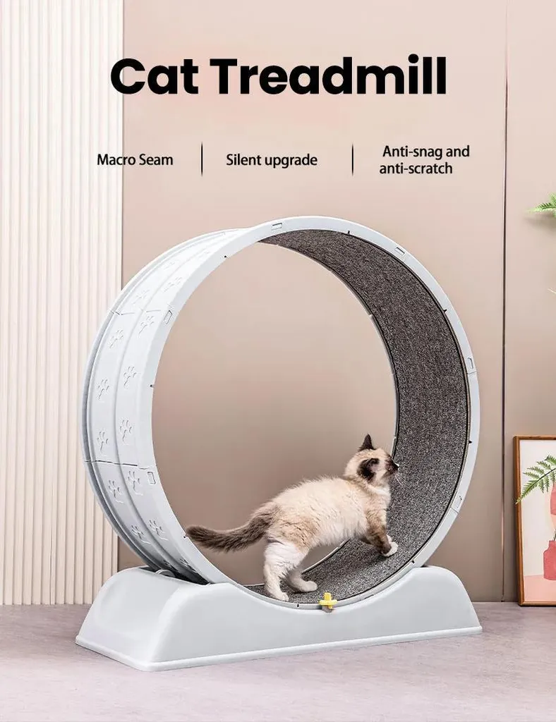Ruota per Gatti Grigia Minimal 76cm | Accessorio Fitness Design Silenzioso - 8