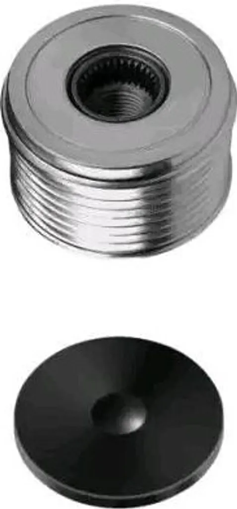 Roue Libre d'Alternateur pour Patrol GR V et Terrano II - HELLA