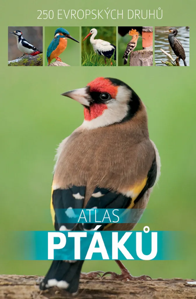 Atlas des oiseaux 250 espèces : Illustrations et cartes détaillées