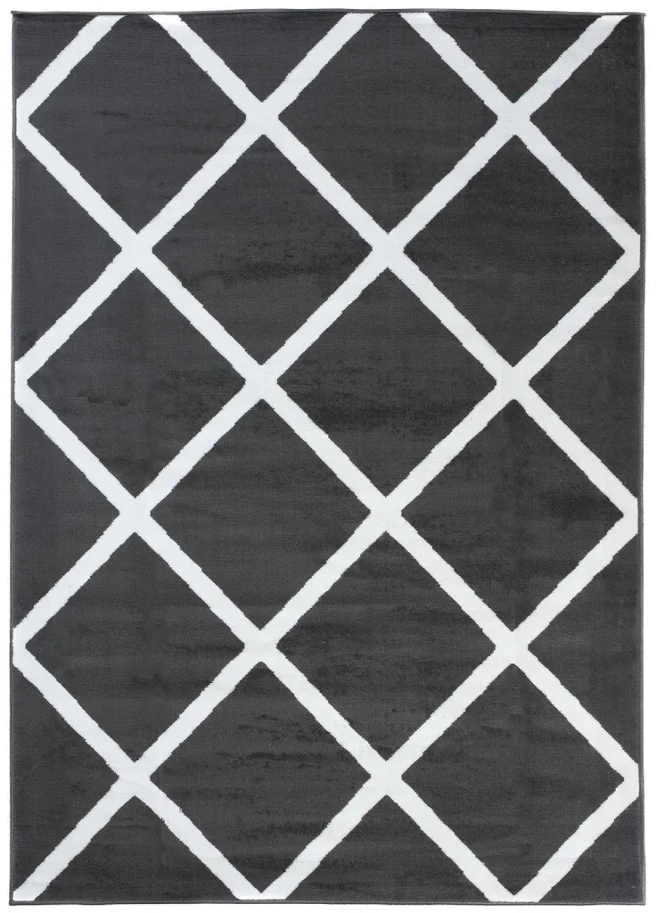 Tapis de Salon LUXURY Moderne Blanc Gris Anthracite XL - 300x400 cm - 2