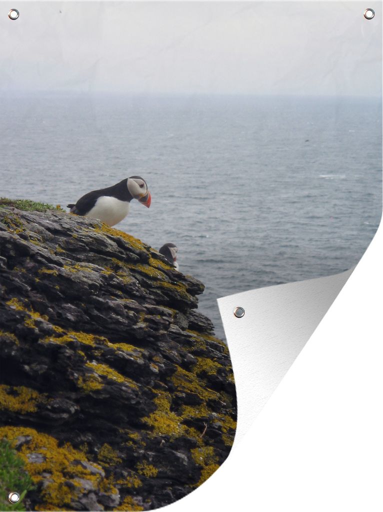 MuchoWow 30x40 cm Outdoor-Poster Gartendeko Sichtschutz Garten Poster für den Garten Papageientaucher auf Skellig Michael