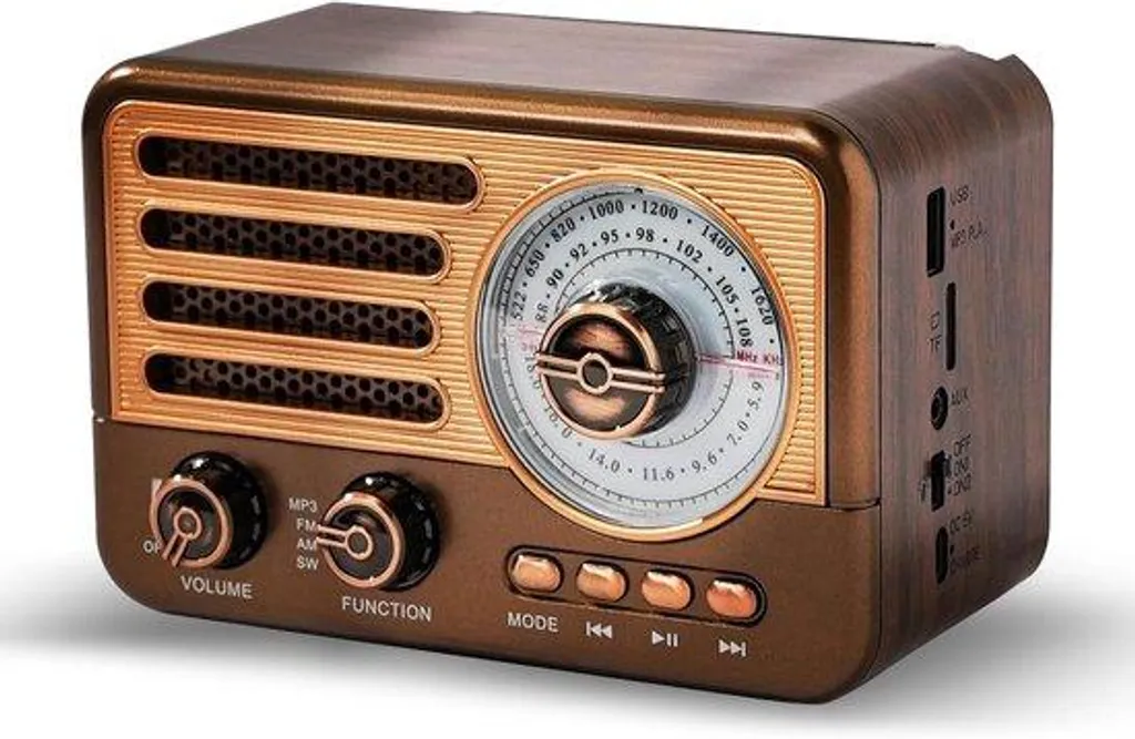 Mini poste de radio portable AM/FM - Récepteur analogique d'urgence 10cm
