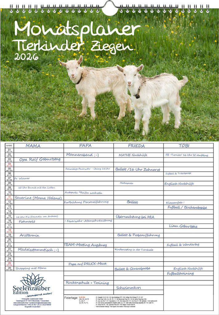 Tierkinder Ziegen Planer Familienplaner 4 Spaltenplaner DIN A3 Kalender für 2026 Ziegen und Zicklein - Seelenzauber
