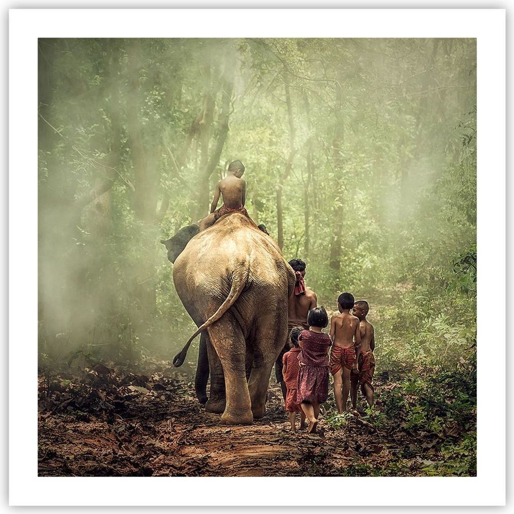 Poster - Poster ohne Rahmen - Elefant Dschungel Nebel - Produktbild 
