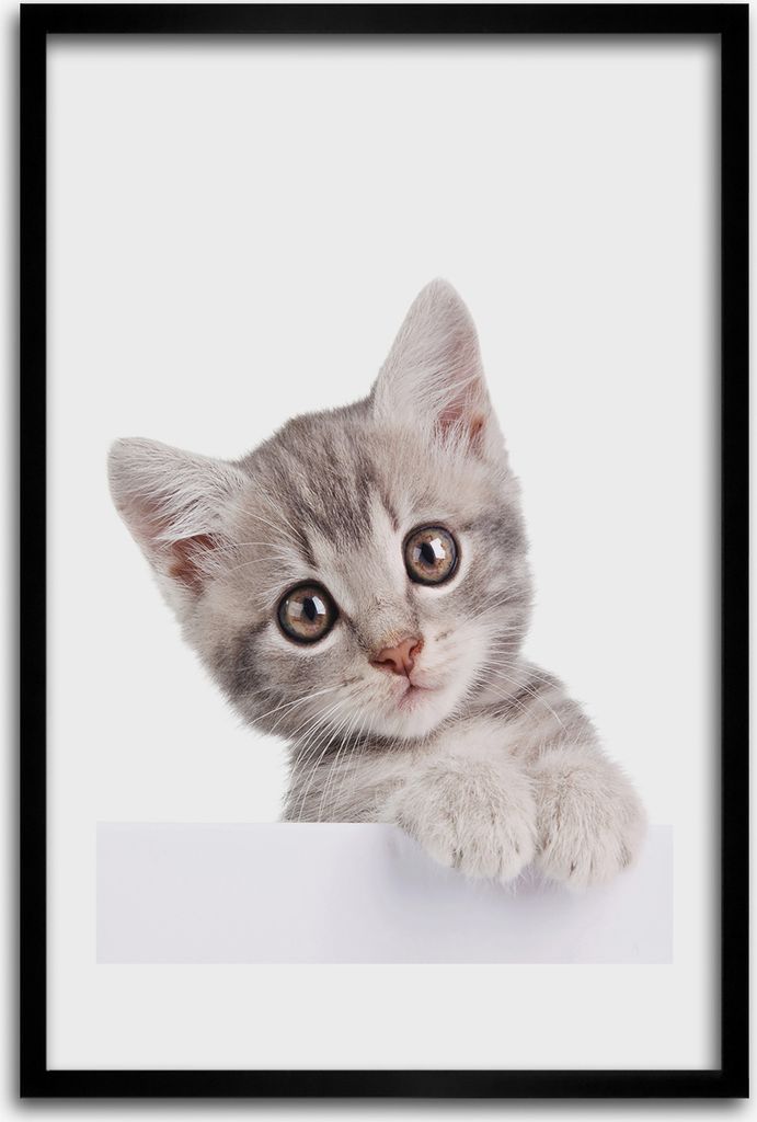 Bild - Bilderrahmen - 40 cm x 60 cm - MDF - Rahmen - Wandkunst - Graue Katze