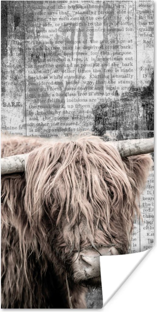 MuchoWow Poster Schottischer Highlander - Jahrgang - Text 75x150 cm - Dekoration für die Wände