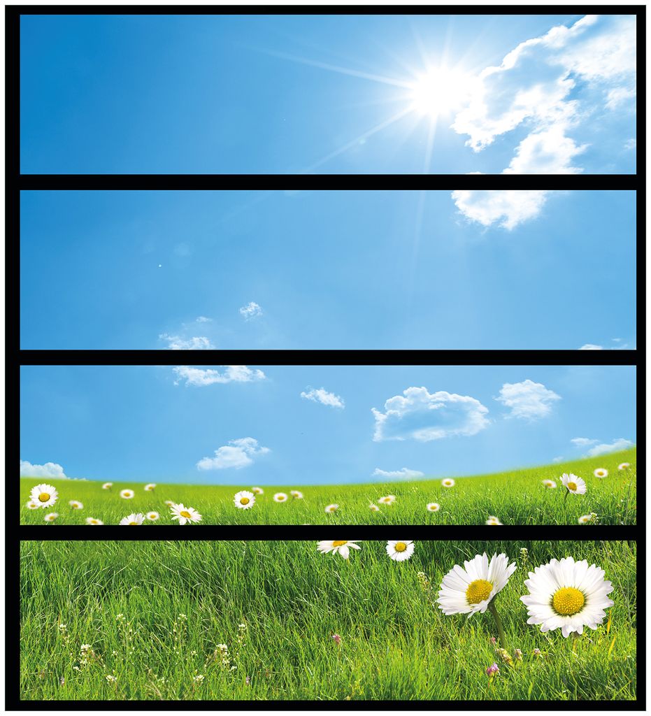 Wallario Möbelfolie / Aufkleber, geeignet für Ikea Malm Kommode mit 4 Schubfächern - Sommerwiese - Weiße Gänseblümchen vor blauem Himmel