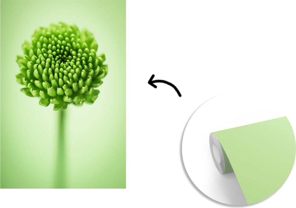 MuchoWow Fototapete für Wohnzimmer oder Schlafzimmer Wandtapete Vinyl Motivtapete Grüne botanische Chrysanthemenblüte mit unscharfem Hintergru...