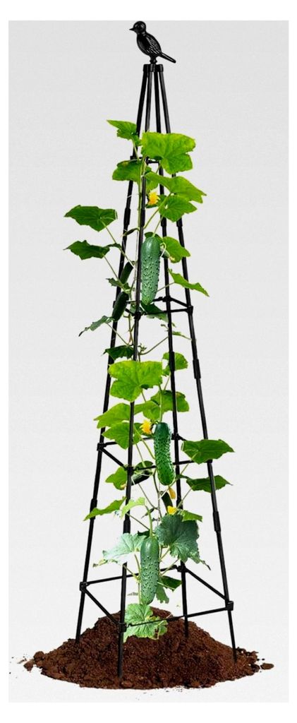 Rankgitter für Gurken - Erbsenspalier - Höhenverstellbare Metallstütze für Blumen, Weintrauben, Bohnen und Gurken im Garten mit anpassbarer Pfl...