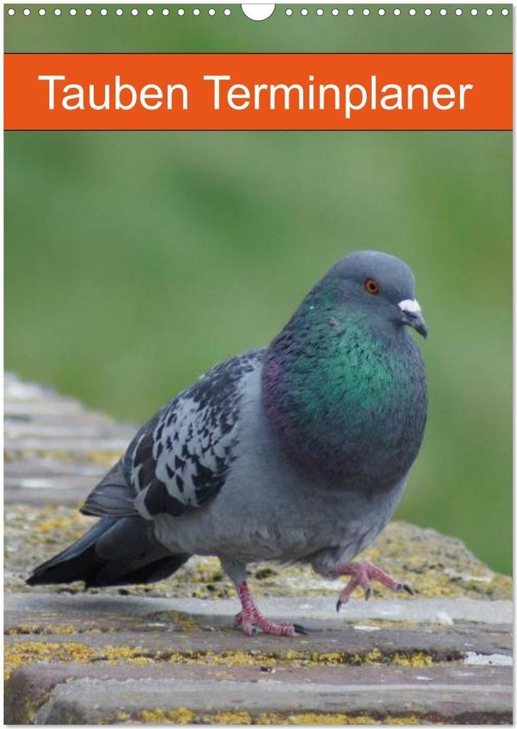 Tauben Terminplaner (Wandkalender 2026 DIN A3 hoch), CALVENDO Monatskalender