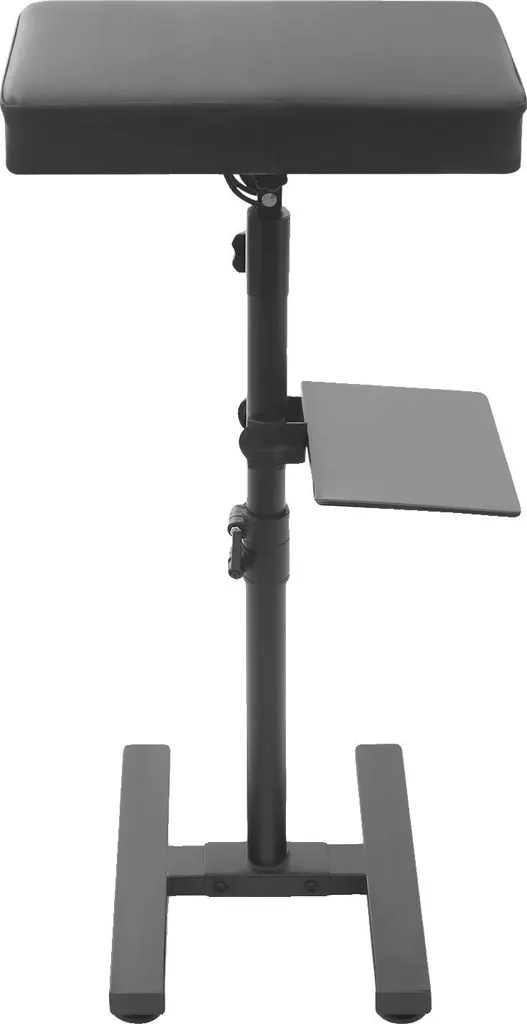 Support Tatouage Noir Design Ergonomique avec Hauteur Flexible 100cm