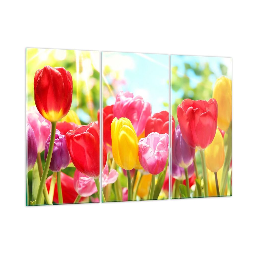 Bilder auf glas - Tulpe Blume Garten Plantage - 105x70cm - Glasbilder - Wandbilder - Kunstdruck - zum Aufhängen bereit - Wanddekoration aus Glas -...