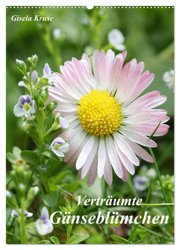 Verträumte Gänseblümchen (Wandkalender 2027 DIN A2 hoch), CALVENDO Monatskalender