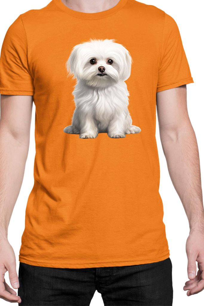 Herren T-Shirt Dogs Breeds Maltese Dog Breed 006, Man S / Orange