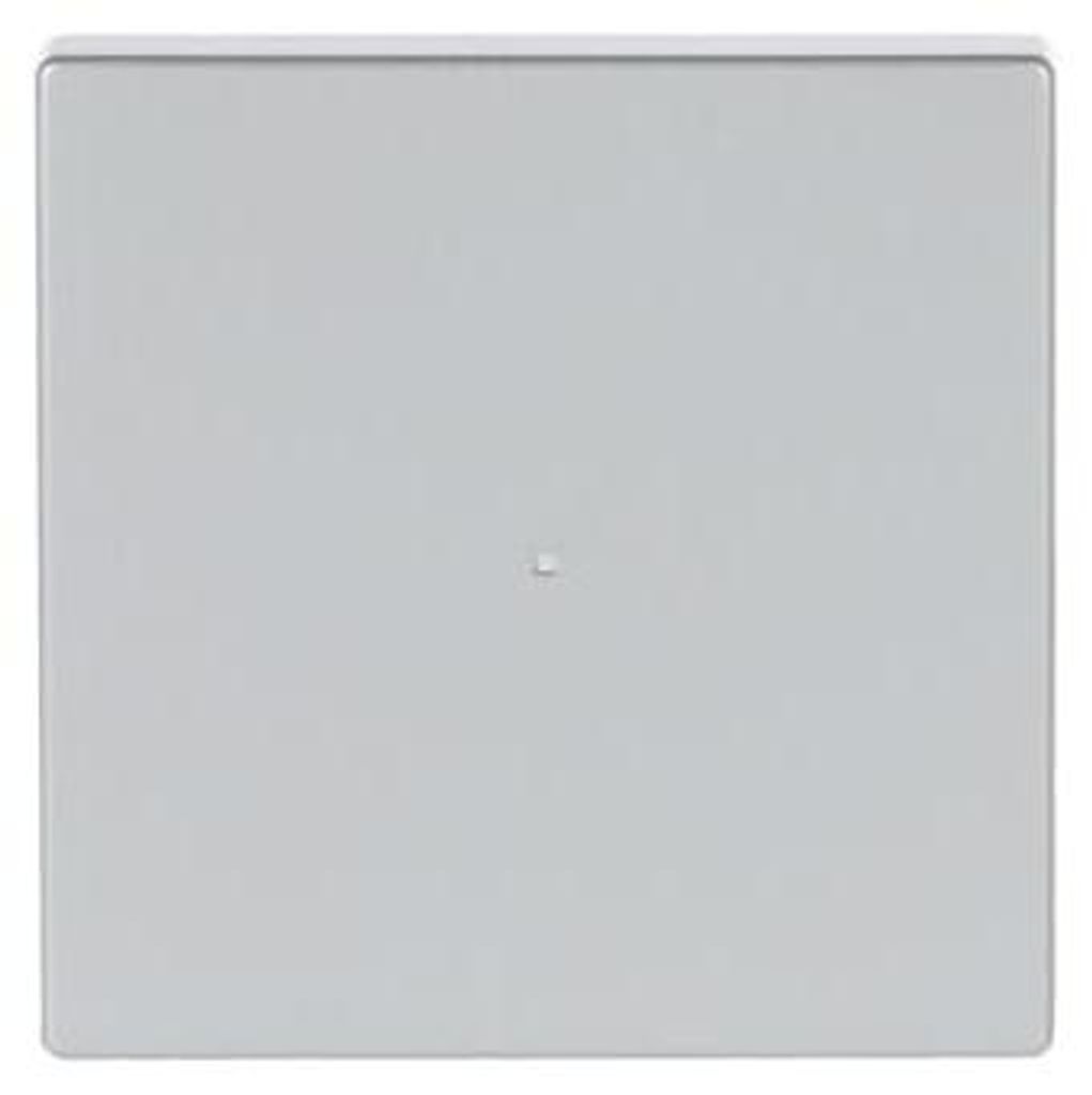 BJ Wippe 1fach 6230-10-83 Busch-free@home alusilber