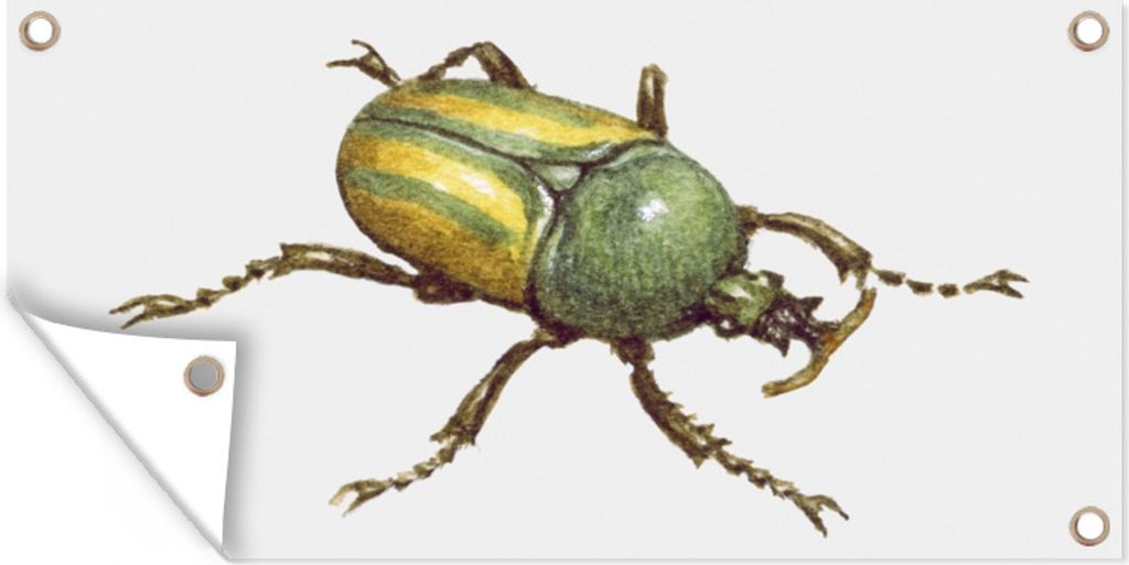 MuchoWow 80x40 cm Outdoor-Poster Gartendeko Sichtschutz Garten Poster für den Garten Käfer - Insekten - Aquarell