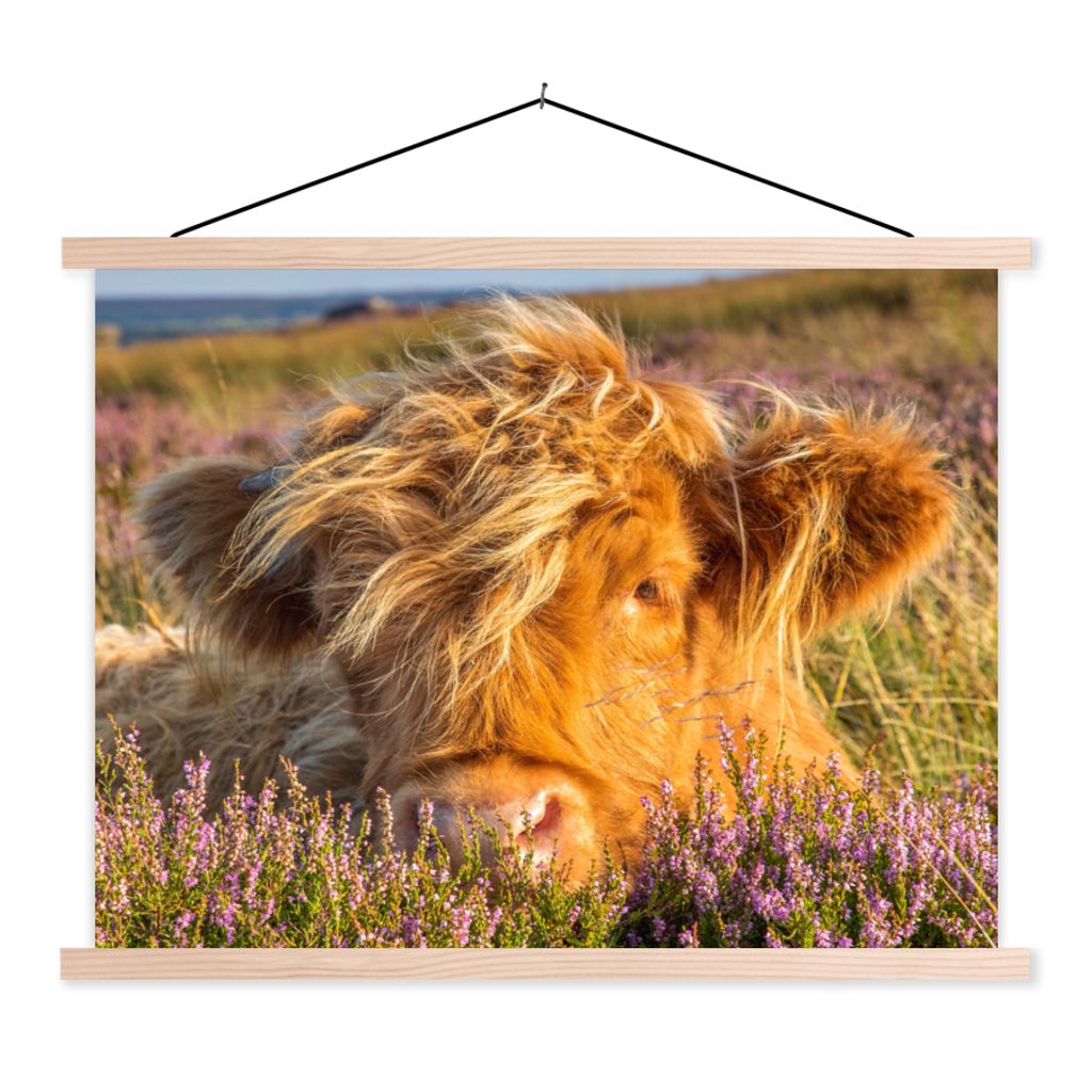 MuchoWow Textilposter Schottische Highlander - Heide - Gras - Tiere 120x90 cm mit holzfarbenen Rahmen - Magnetisch