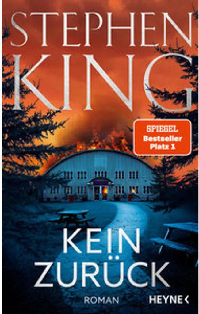 Livre Kein Zurück de ZL King - Roman Thriller Psychologique Allemand