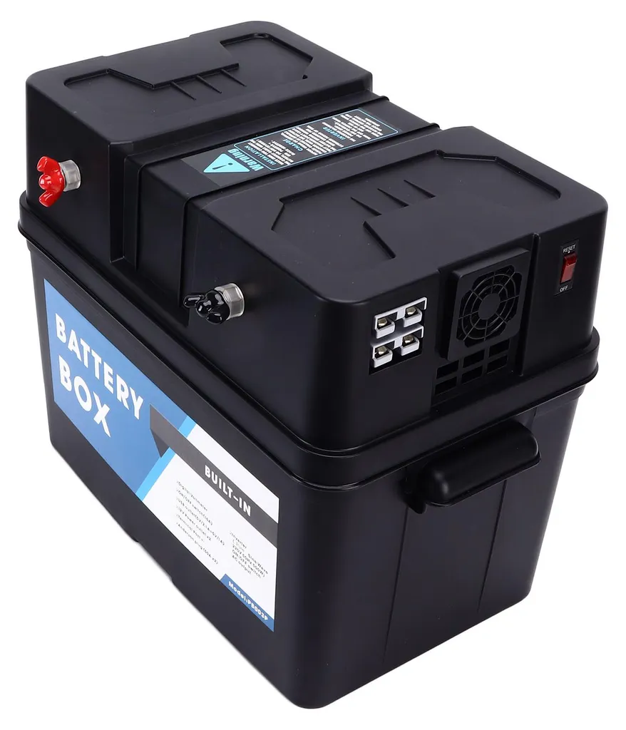 Station d'alimentation portable 500W avec convertisseur 12V 220V auto - 5
