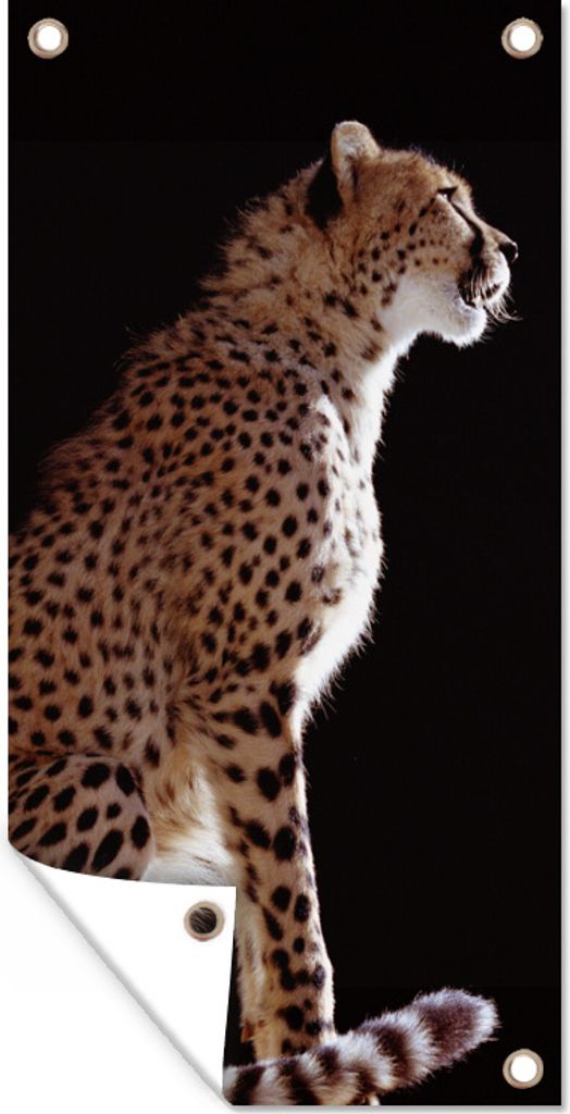 MuchoWow 40x80 cm Outdoor-Poster Gartendeko Sichtschutz Garten Poster für den Garten Gepard - Tiere - Licht