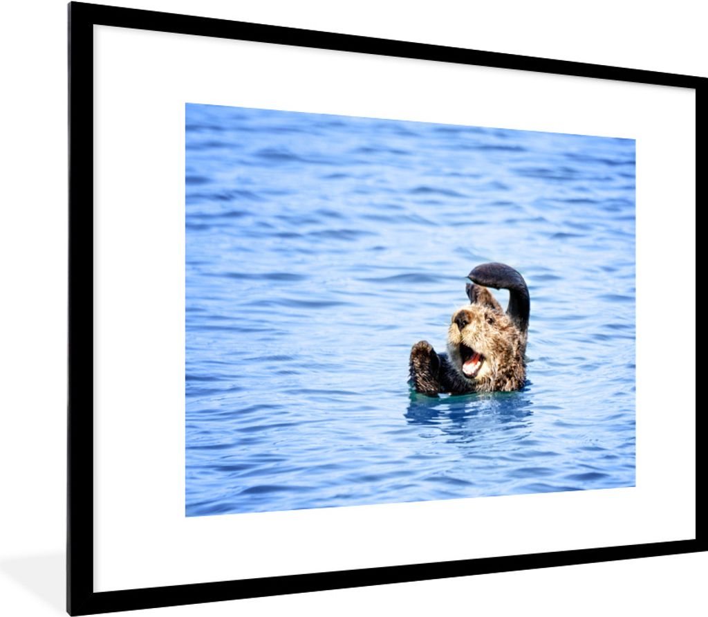 MuchoWow® Gerahmtes Poster Seeotter - Lustig - Wasser - Produktbild 