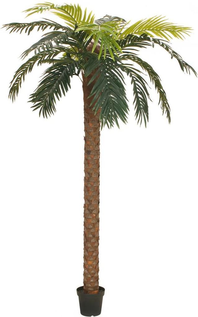 artplants.de Kunststoff Phönix Palme Joleen, 250cm - Kunst Kanarische Dattelpalme