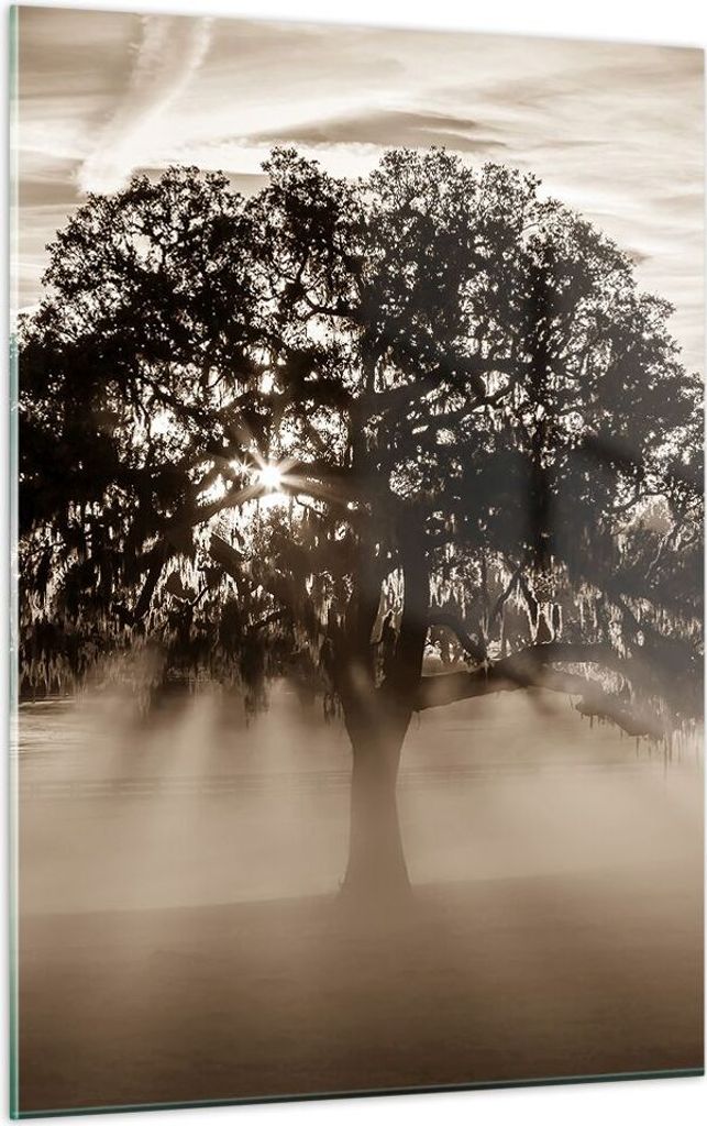 Bilder auf glas - Einteilig - Baum Feld Natur - 50x70cm - Glasbilder - Wandbilder - Bilder - zum Aufhängen bereit - Wanddekoration aus Glas - Glas...