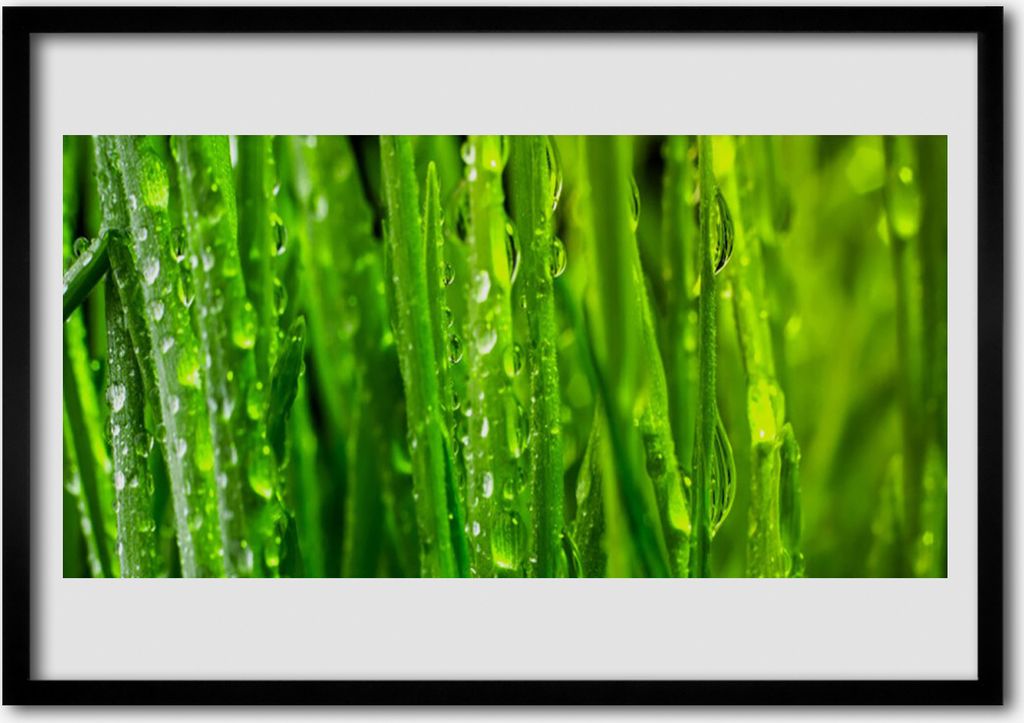 Bild 70x50 MDF-Rahmen Wandkunst Gras Natur Pflanze