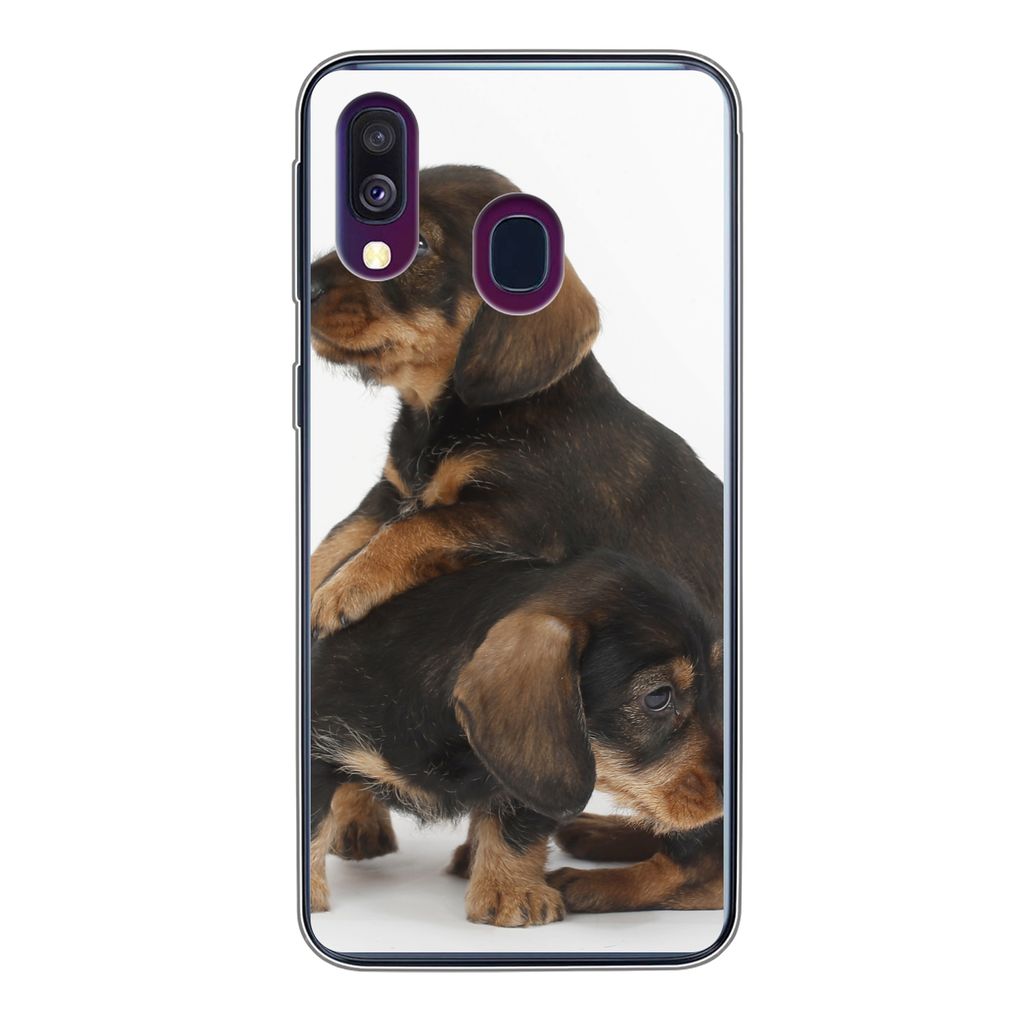 MuchoWow Handyhülle Schutzhülle Hülle für Samsung Galaxy A40 Studiofoto von zwei süßen Dackeln Silikon Softcase Handy Hülle - Handy-Tasche