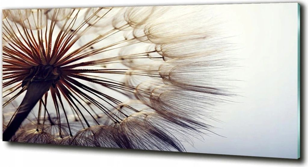 Fotobild 125x50 für Wand Blowfish