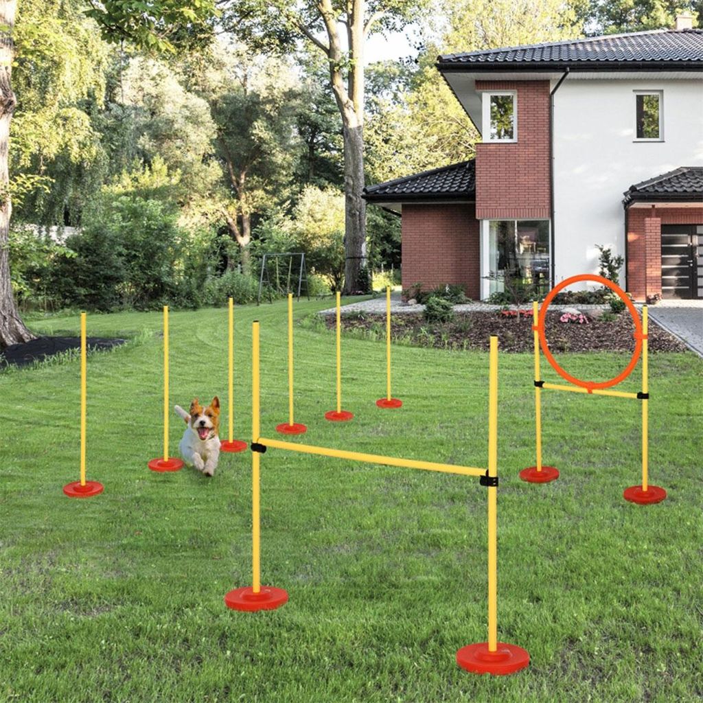 Agility-Hürde 3-in-1 Hürden für Haustiere mit 6 Slalomstangen höhenverstellbar Hürden Sprungreifen und Tragetasche Hunde Agility Set Trainingsset