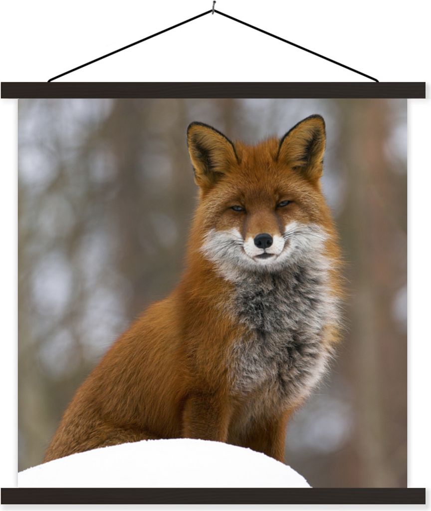 MuchoWow Textilposter Fuchs - Wald - Rot 90x90 cm mit schwarzem Rahmen - Magnetisches