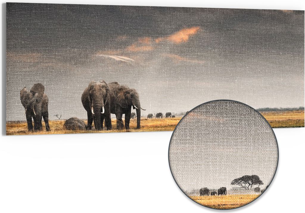 DEQORI Hybrid Leinwand Bild 150x60 cm 'Savannen Dämmerung' Produktbild 