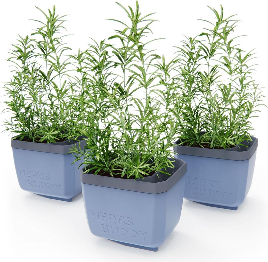 HERBS BUDDY Kräutertopf blau | Kräutertöpfe von Gusta Garden, Menge (Stück):3 Stück