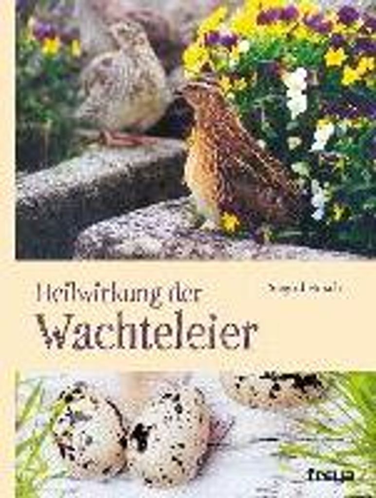 Heilwirkung der Wachteleier