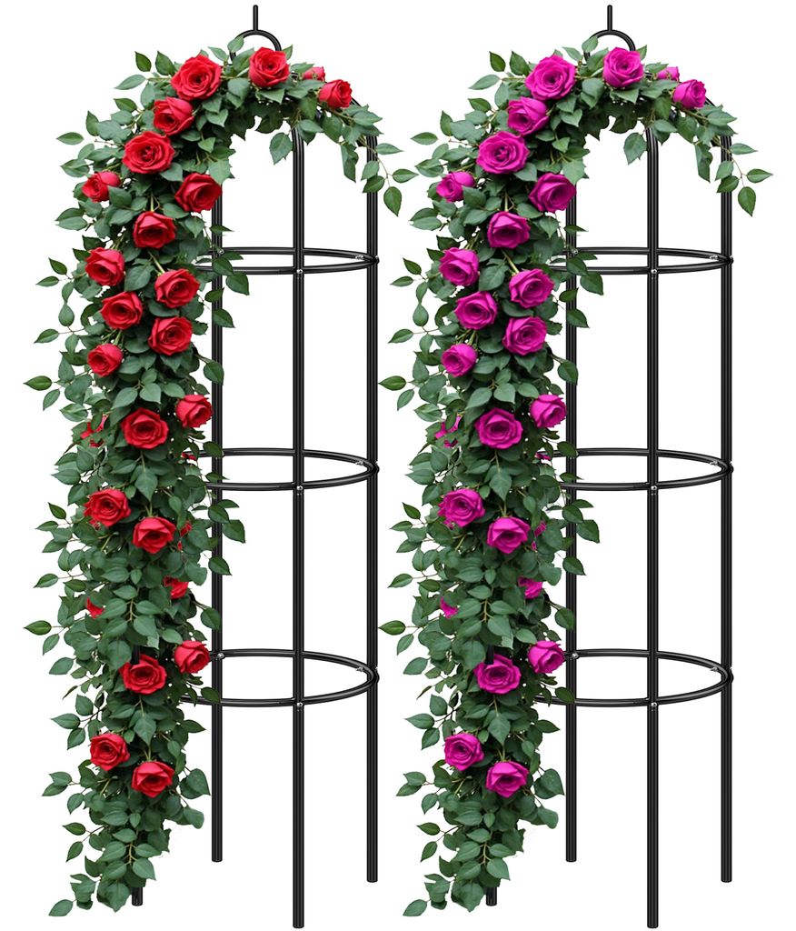 Gardebruk 2x Obelisco per Rose Piante Rampicanti 200 x 40cm Immagine del prodotto 