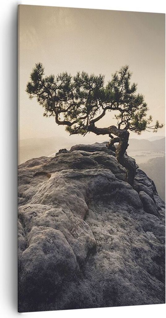 Bild auf Leinwand - Leinwandbild - Einteilig - Alt Kiefer Berge - 65x120cm - Wand Bild - Wanddeko - Wandbilder - Leinwanddruck - Bilder - Wanddekor...