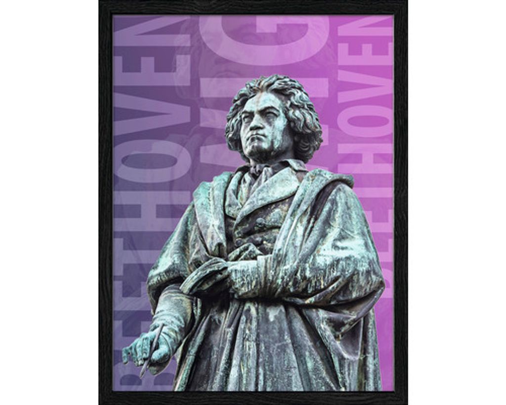 Gerahmtes Bild Bonn Beethoven 33x43 cm