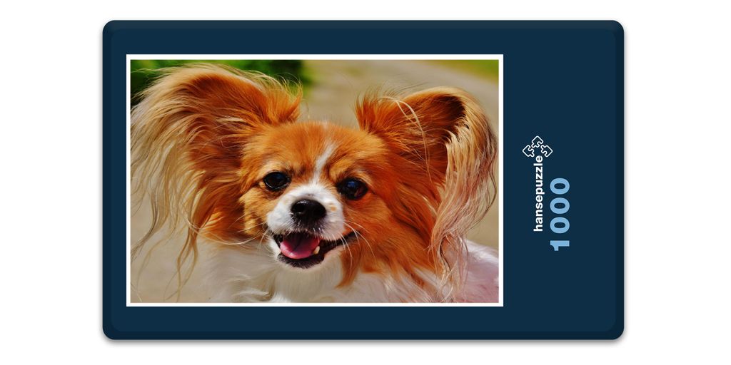 hansepuzzle 18844 - Chihuahua Puzzle, 1000 Teile, Tierwelt, 60,0 x 46,0cm mit hochwertiger Aufbewahrung, Kartonbox und wiederverschließbarem Beutel