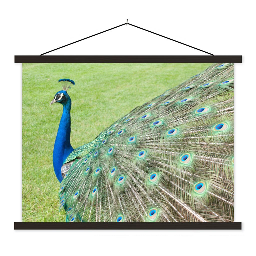 MuchoWow Textilposter Pfau - Vogelmuster 60x45 cm mit schwarzem Rahmen - Poster Schlafzimmer