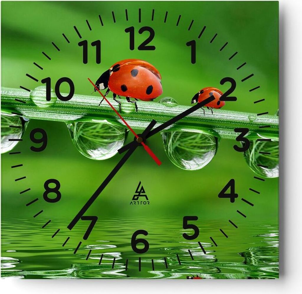 Wanduhr - Quadrat - Glasuhr - Marienkäfer Wasser Grün Umwelt - 30x30cm - Schleichendes Uhrwerk - Lautlos - zum Aufhängen bereit - Dekoration Mod...